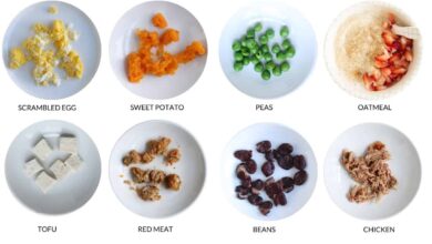 Iron Rich Foods for Babies for Healthy Growth And Development Iron Rich Foods for Babies for Healthy Growth And Development